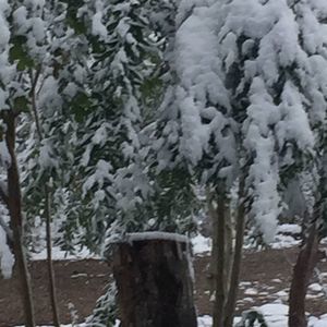 Meet your Posher, Elias